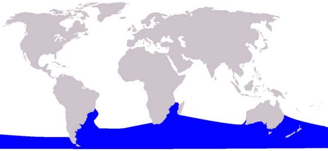 Carte de la répartition de la Baleine Franche Australe dans le monde