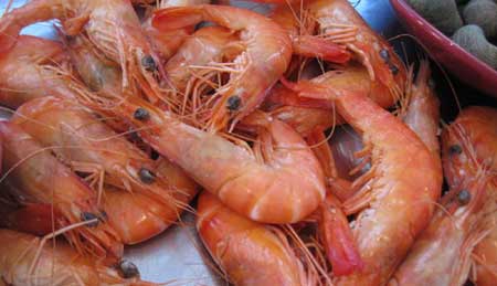 Les crevettes comme les crabes peuvent être contaminés par le syndrome des points blancs