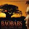Cyrille Cornu : en pirogue à la recherche des baobabs