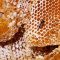 Le miel et les abeilles de Madagascar