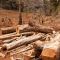 Révision de la politique forestière : consultations dans les régions DIANA et SAVA