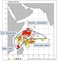 Répartition des prises de thon dans l'Océan Indien