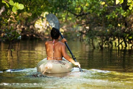 Canoë kayac dans la mangrove