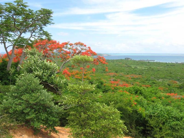 Au coeur de l'aire protégée d'Orangéa, vue sur l'entrée de la baie de Diego Suarez