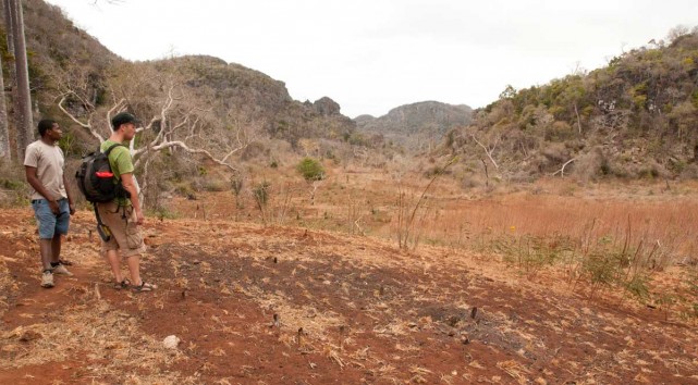 La déforestaion due au charbonnage est de plus en plus manifeste au coeur du massif