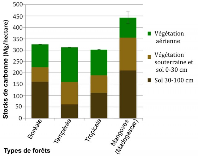 Comparaison entre les stocks de carbone aériens et souterrains des mangroves 
de la Baie d’Ambaro et d’Ambanja avec d’autres types de forêts.