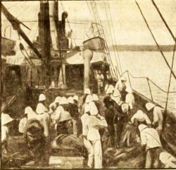 Embarquement des troupes à Diego Suarez sur le paquebot Ville d’Alger