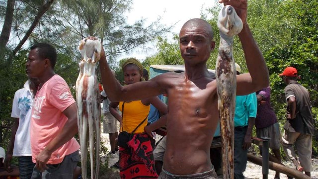 L’ouverture officielle de la pêche dans la nouvelle aire protégée d'Ambodivahibe 