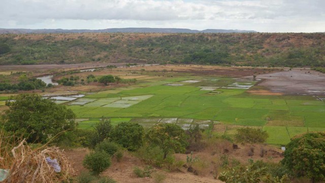 Le quartier Ambalavola est situé en bordure de la Rivière des Caïmans dont le lit fertile accueille de nombreuse rizières.