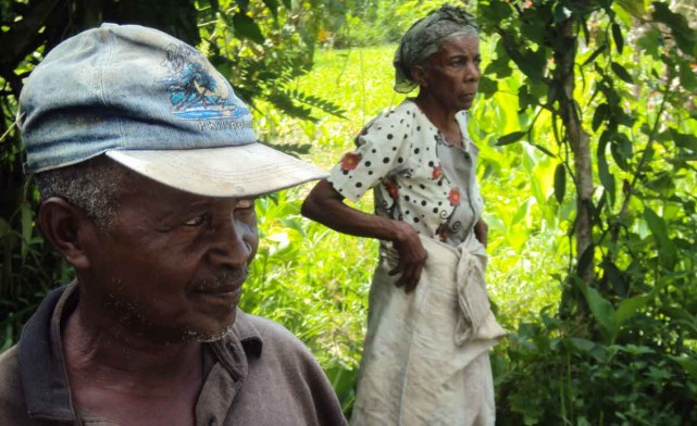 Zama Marcellin et sa femme, planteurs de vanille depuis quatre générations