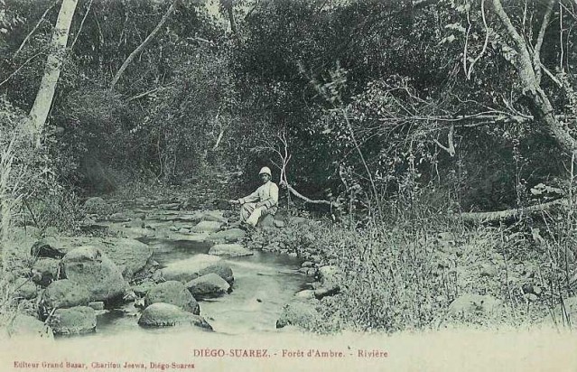 Diego Suarez, - Forêt d'Ambre, - Rivière